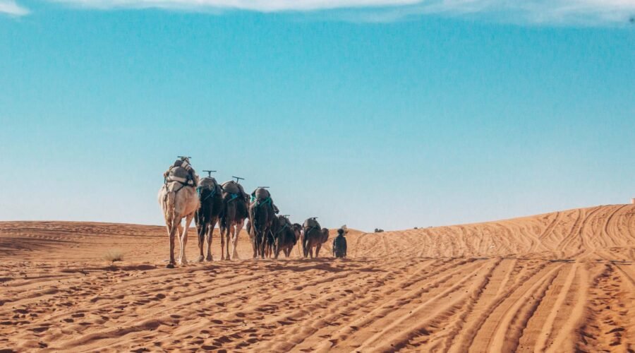 2 Days Tour from Fes to Merzouga