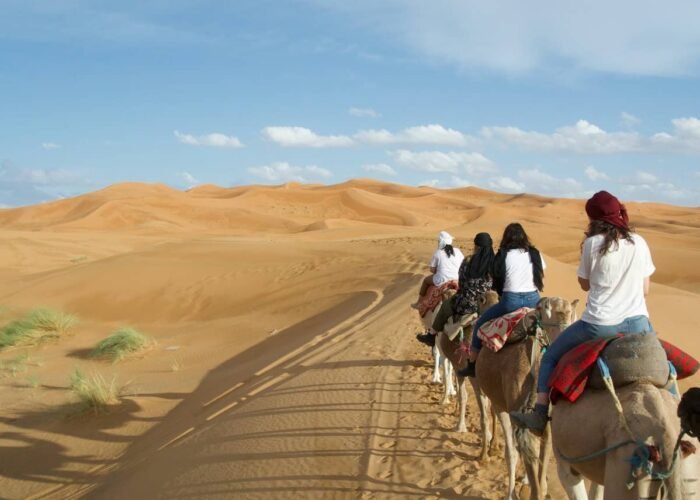 5 days desert tour from casablanca