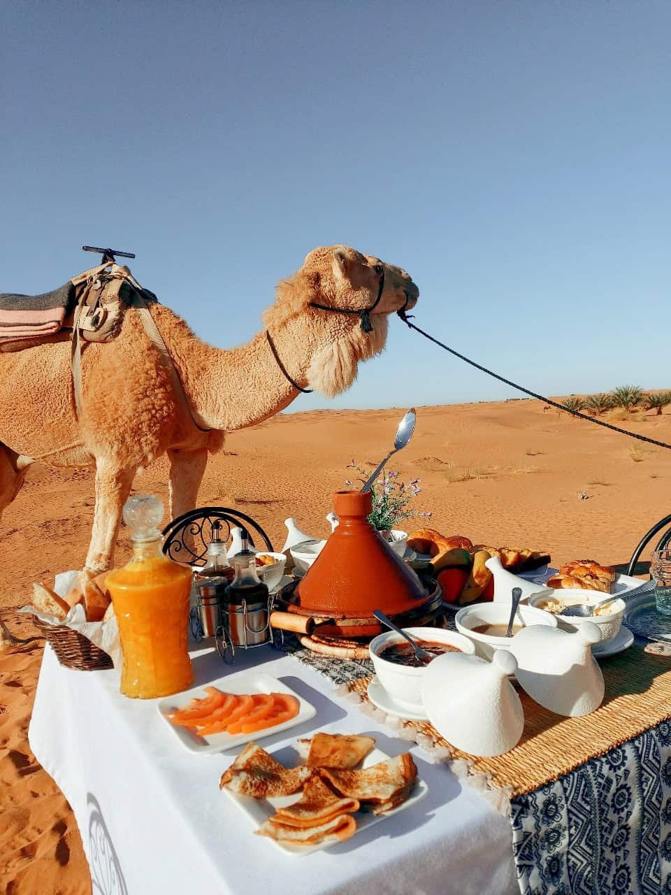 Why Choose a Morocco Private Tour